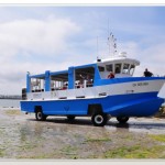 bateau-tatihou-2-800x600