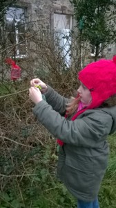 wp_20160205_16_08_48_smart