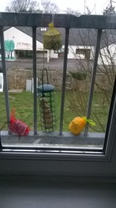 wp_20160205_16_22_48_smart