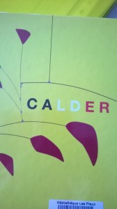 wp_20160317_16_51_21_smart